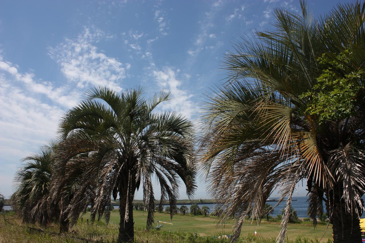 Palm Garden Maishima By Wbf Osaka Eksteriør billede